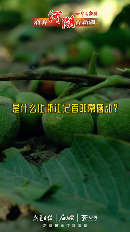 沿著河湖看新疆丨是什么讓浙江記者非常感動(dòng)？